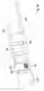 Fig. 09 - Electrical contact system for contacting a coil