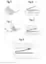 Fig. 03 - Thermally sensitive contact lug