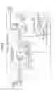 Fig. 06 - Optical transmission device and optical transmission method