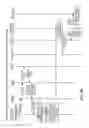 Fig. 25 - METHOD PROVIDING A GRAPHICAL USER INTERFACE READOUT OF THE IDENTIFICATION OF A RINGBACK TONE ON THE INCOMING AND OUTGOING CALL HANDSETS