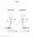 Fig. 06 - Image processing device, imaging device, program, and image processing method suppressing a reduction in visibility of an image to check focus when distortion is corrected