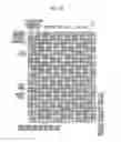 Fig. 25 - Image processing device, imaging device, program, and image processing method suppressing a reduction in visibility of an image to check focus when distortion is corrected