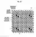 Fig. 29 - Image processing device, imaging device, program, and image processing method suppressing a reduction in visibility of an image to check focus when distortion is corrected