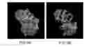 Fig. 07 - Method of panoramic 3D mosaicing of a scene