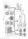Fig. 12 - IMAGE PICKUP DEVICE AND CAMERA SYSTEM