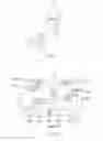 Fig. 07 - Relational display of images