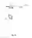 Fig. 02 - Enhanced fast-forward and rewind visual feedback for HLS content