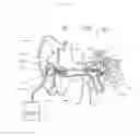 Fig. 07 - Earphone assembly with moisture resistance