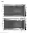 Fig. 09 - Method for spatial filtering of at least one sound signal, computer readable storage medium and spatial filtering system based on cross-pattern coherence