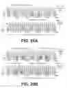 Fig. 22 - Time domain coexistence of RF signals
