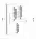Fig. 06 - Non-consecutive subframes in multi-TTI scheduling messages
