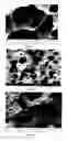 Fig. 02 - LIGHT WEIGHT CARBON FOAM AS ELECTROMAGNETIC INTERFERENCE (EMI) SHIELDING AND THERMAL INTERFACE MATERIAL