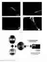 Fig. 07 - Graphene nanoplatelets- or graphite nanoplatelets-based nanocomposites for reducing electromagnetic interferences