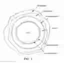 Fig. 02 - Process and composition for killing spores