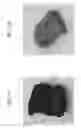 Fig. 02 - SYSTEMS AND METHODS FOR FOOD PREPARATION AND PRESERVATION
