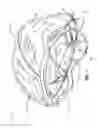 Fig. 02 - Bicycle helmet fit system