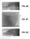 Fig. 07 - Smart diagnostic mouth guard system