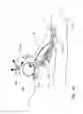Fig. 07 - Patient-mounted micro vein enhancer