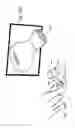 Fig. 37 - Patient-mounted micro vein enhancer