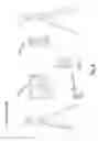 Fig. 07 - Image formation apparatus and method for nuclear imaging