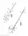 Fig. 04 - Aiming device for distal locking of intramedullary nails and methods of use
