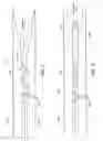 Fig. 06 - In vivo positionable filtration devices and methods related thereto