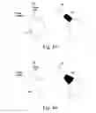 Fig. 40 - MAINTAINING PROPER MECHANICS THA