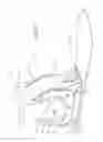 Fig. 02 - Prosthetic System