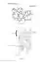 Fig. 02 - BRANCHED POLYHYDROXYALKANOATE SYSTEMS FOR BIORESORBABLE VASCULAR SCAFFOLD APPLICATIONS