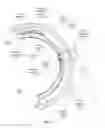 Fig. 09 - Adjustable mobility assistive device