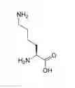 Fig. 04 - Injectable Amino-acid Composition