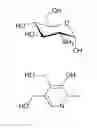 Fig. 07 - Injectable Amino-acid Composition