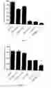Fig. 02 - PHARMACEUTICAL COMPOSITION CONTAINING CONVENTIONAL LIPOSOMES AND PROLONGED-CIRCULATION LIPOSOMES FOR THE TREATMENT OF VISCERAL LEISHMANIASIS