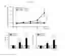 Fig. 02 - METHODS AND COMPOSITIONS FOR TREATING KIDNEY DISORDERS