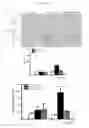 Fig. 35 - METHODS AND COMPOSITIONS FOR TREATING KIDNEY DISORDERS