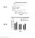 Fig. 05 - Therapeutic method