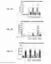 Fig. 09 - Therapeutic method