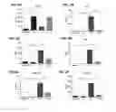 Fig. 10 - Therapeutic method