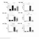 Fig. 12 - Therapeutic method