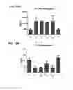 Fig. 17 - Therapeutic method
