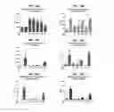 Fig. 18 - Therapeutic method