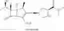 Fig. 04 - Carbapenem antibacterials with gram-negative activity