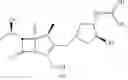 Fig. 09 - Carbapenem antibacterials with gram-negative activity