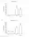 Fig. 02 - Composition comprising melatonin or its derivatives with coenzyme Q10 and use thereof against ageing of the skin