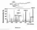 Fig. 06 - Fatty acids as anti-inflammatory agents