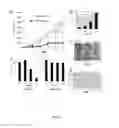 Fig. 07 - Novel Compositions and Methods for Treating Cancer