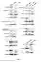 Fig. 09 - Novel Compositions and Methods for Treating Cancer
