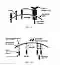 Fig. 02 - Induced activation in dendritic cells