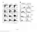 Fig. 08 - Use of common γ chain cytokines for the visualization, isolation and genetic modification of memory T lymphocytes