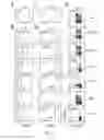 Fig. 12 - Use of common γ chain cytokines for the visualization, isolation and genetic modification of memory T lymphocytes